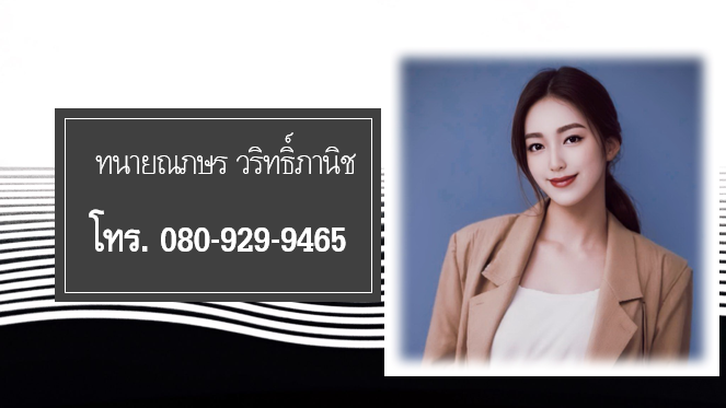 ทนายณภษร-วริทธิ์ภานิช